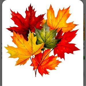 Last Chance! Children’s Fall/Winter And Long Sleeved Clothing To Be Moved Out